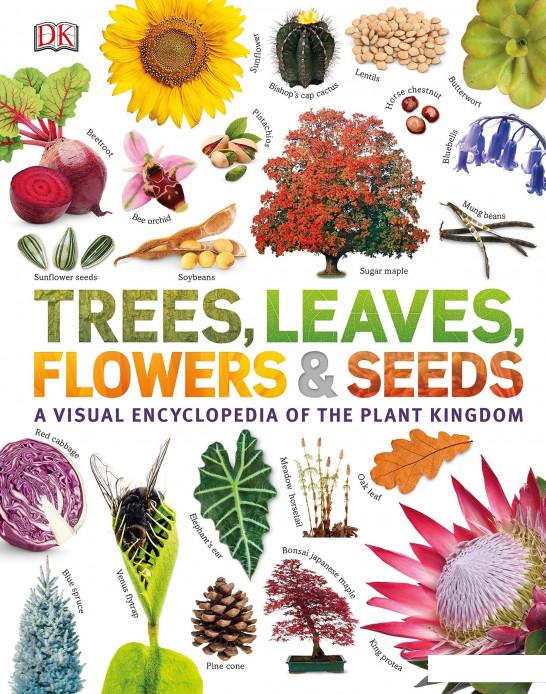 

Trees, Leaves, Flowers and Seeds. A visual encyclopedia of the plant kingdom (1119755)