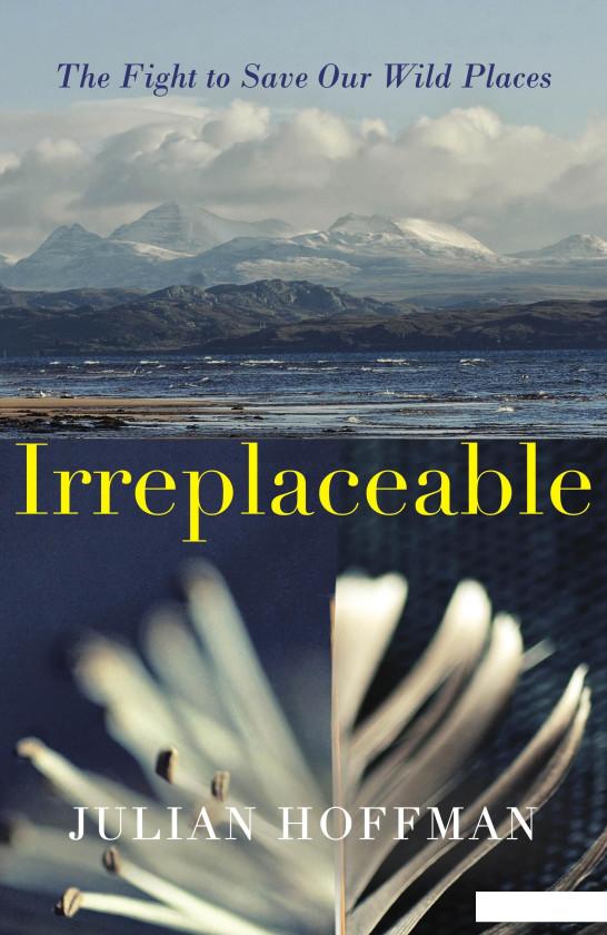 

Irreplaceable (945993)