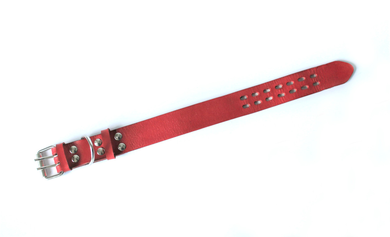 

Ошейник для собак Lockdog XL (56-70 см) Красный 000040469