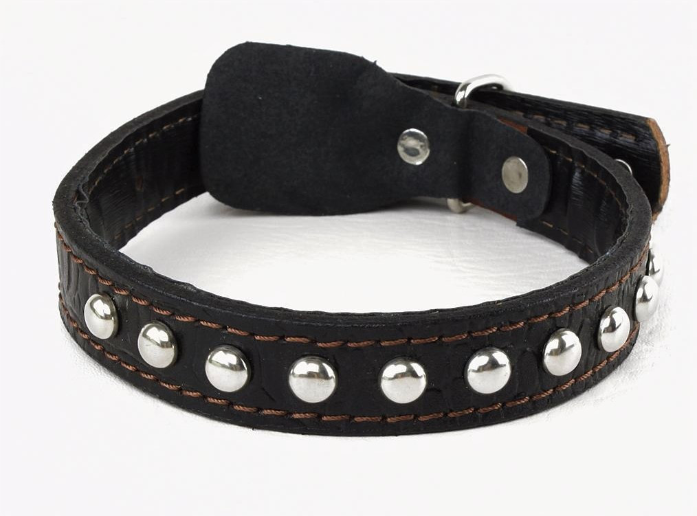 

Ошейник с заклепками Lockdog L (45-55 см) Черный 000040439