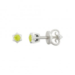 

Серьги из серебра 3224300
