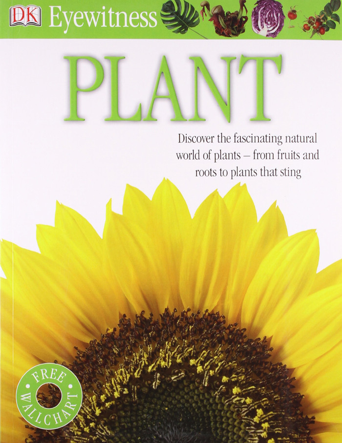 

Plant