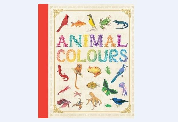 

First Concept: Animal Colours