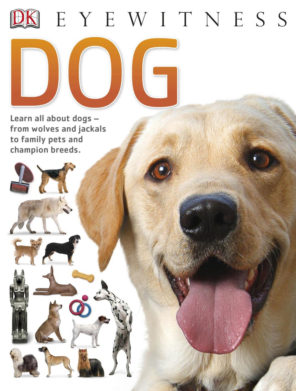 

Dog