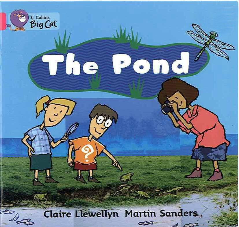 

Big Cat 1B The Pond. Workbook