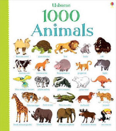 

1000 Animals