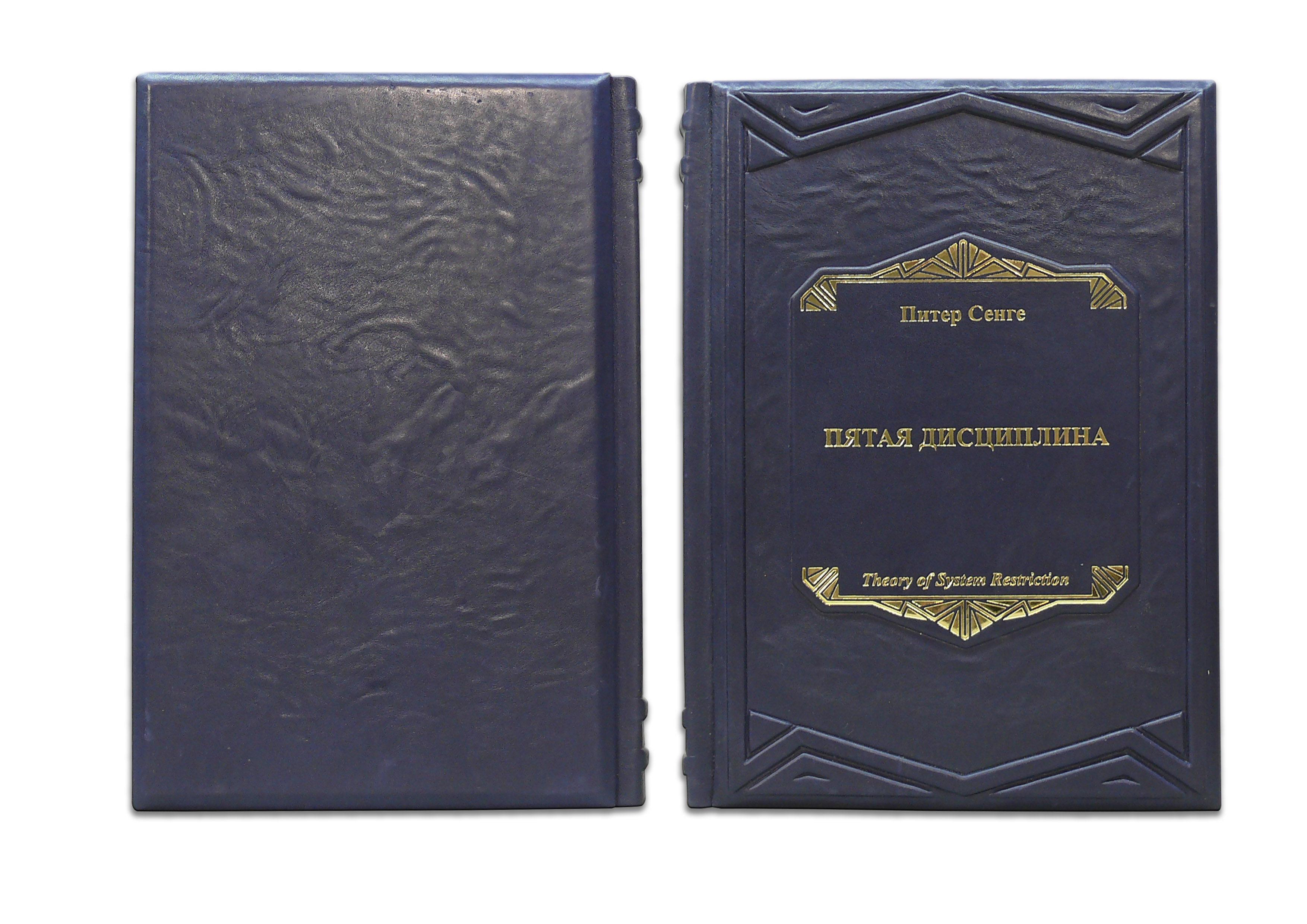 

Пятая дисциплина пбв18102 Оникс