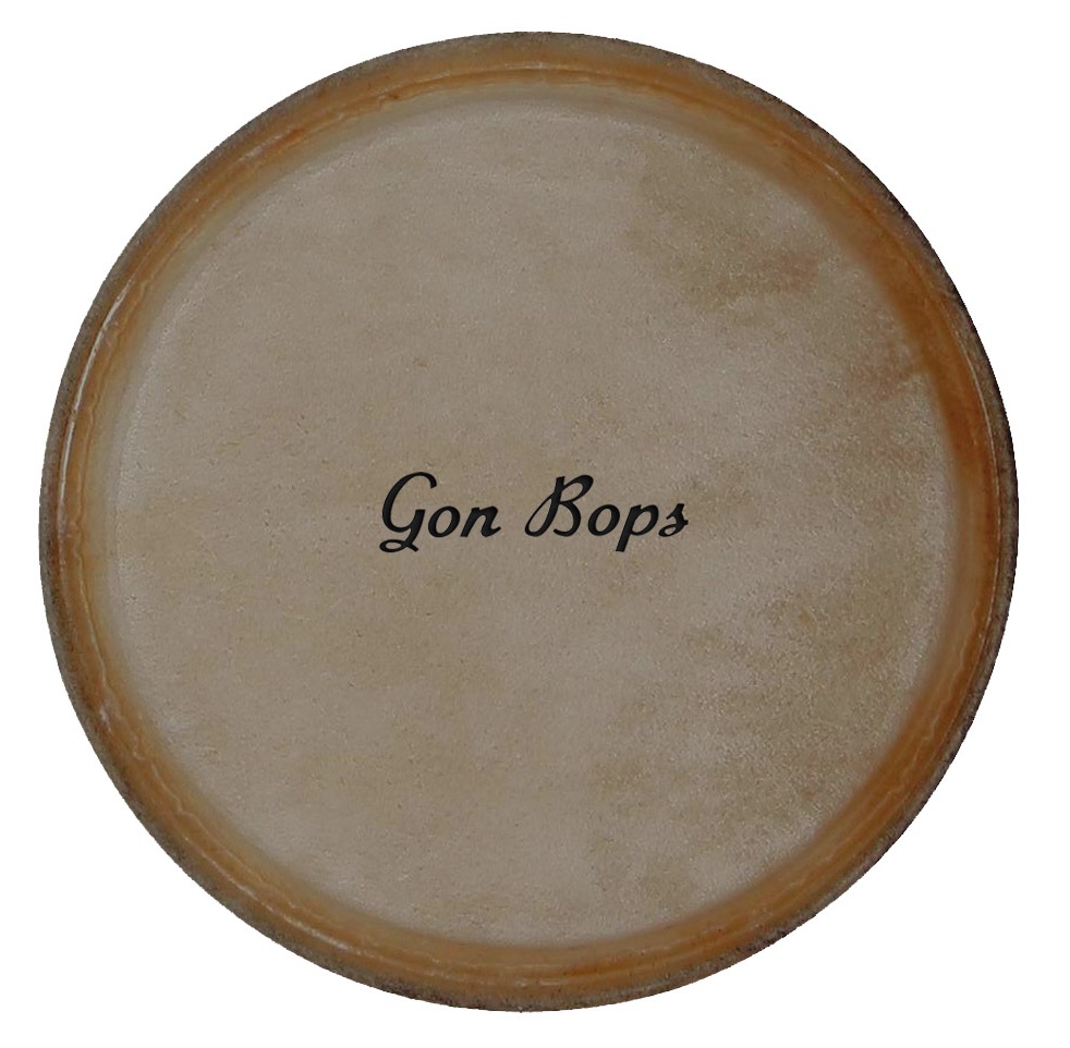 

Пластик для ударных GON BOPS SP2021 11.5" TUMBAO PRO CONGA HEAD