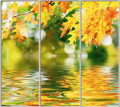 

Шкаф купе Luxe Studio Стандарт-1 Фотопечать Природа-202 2200x2400x600 трехдверный