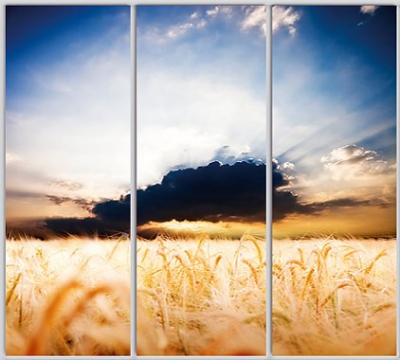 

Шкаф купе Luxe Studio Стандарт-1 Фотопечать Природа-130 2200x2100x600 трехдверный