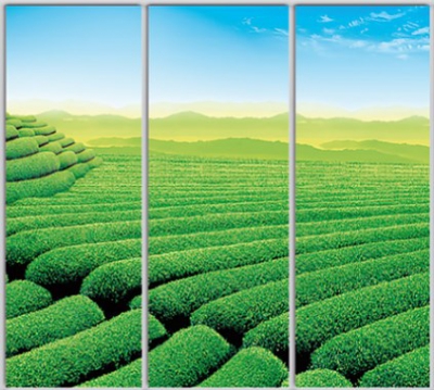 

Шкаф купе Luxe Studio Стандарт-1 Фотопечать Природа-72 2200x2100x600 трехдверный