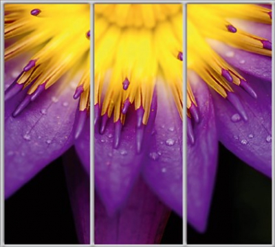 

Шкаф купе Luxe Studio Стандарт-1 Фотопечать Природа-7 2200x2400x600 трехдверный