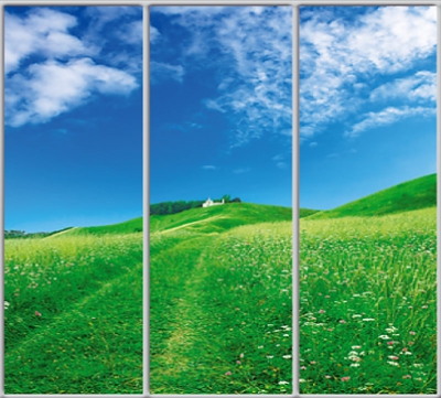 

Шкаф купе Luxe Studio Стандарт-1 Фотопечать Природа-14 2200x2400x600 трехдверный