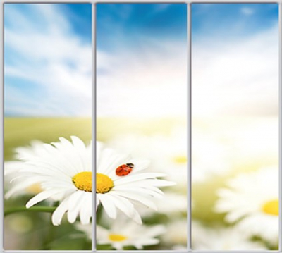 

Шкаф купе Luxe Studio Стандарт-1 Фотопечать Природа-99 2200x2300x600 трехдверный