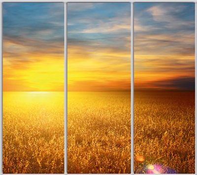 

Шкаф купе Luxe Studio Стандарт-1 Фотопечать Природа-131 2200x2300x600 трехдверный