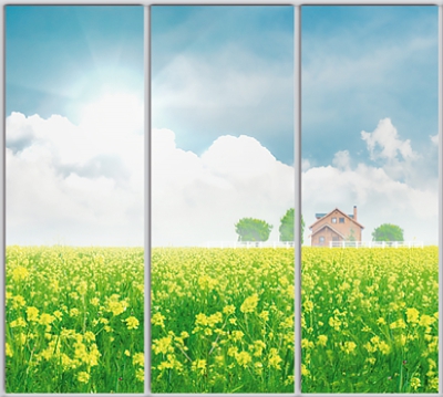 

Шкаф купе Luxe Studio Стандарт-1 Фотопечать Природа-18 2200x2100x600 трехдверный