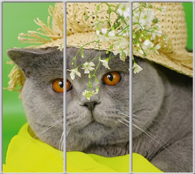 

Шкаф купе Luxe Studio Стандарт-1 Фотопечать Животные-63 2200x2200x600 трехдверный