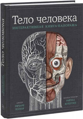 

Тело человека. Интерактивная книга-панорама - Ричард Уолкер