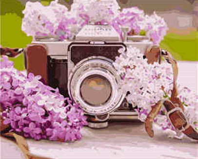 

Картина по номерам VA-1080 "Фотоапарат з бузком", розміром 40х50 см (VA-1080)