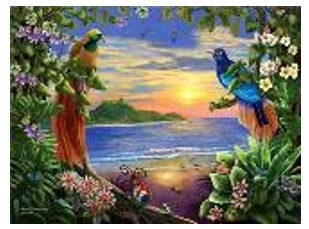 

Картина по номерам "Райские птицы"40*50см,крас.-акрил,кисть-3шт.(1*30) (3030)