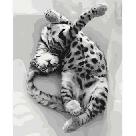 

Картина по номерам. Тварини, птахи "Солодкий сон" 40*50см (КНО4069)