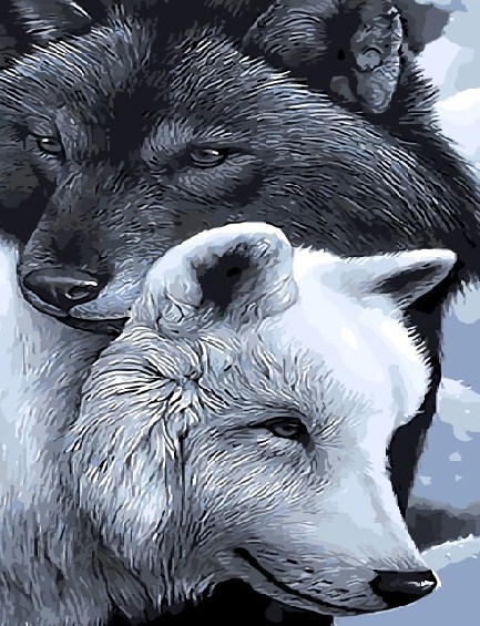 

Картина по номерам BrushMe Инь и янь, 40 х 50 см (BRM9633)