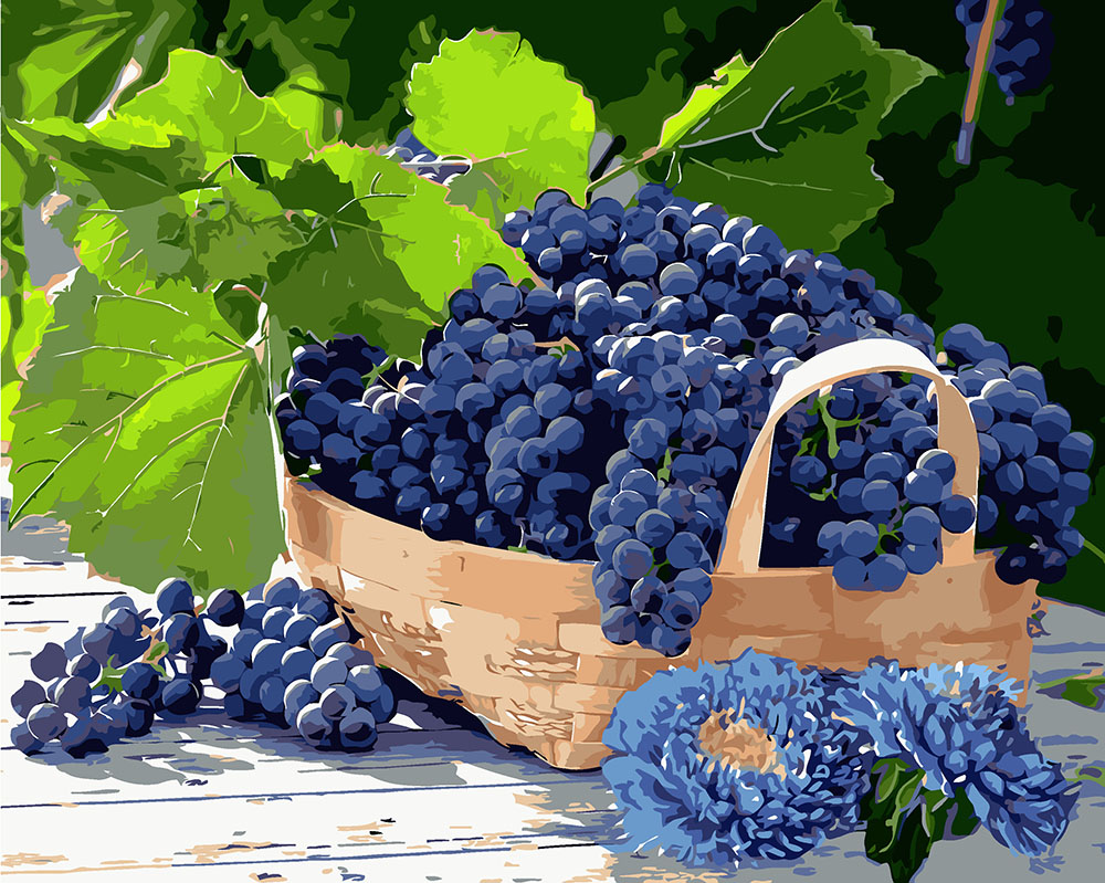 

Картина по номерам Идейка Виноград в корзине, 40 х 50 см (KHO5579) (Без коробки)