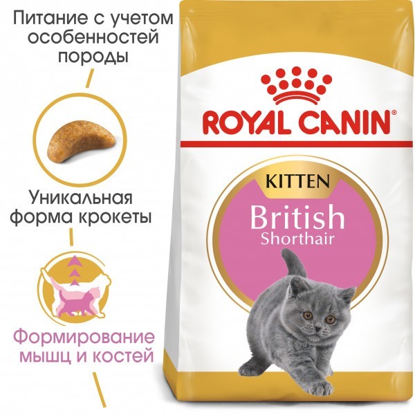 

Сухой Корм Для Котят Британских Короткошерстных до 12 мес Royal Canin Kitten British Shorthair 10 кг 2566100