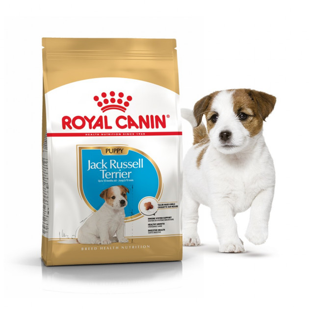 

Сухой корм для собак породы джек рассел терьер Royal Canin JACK RUSSEL PUPPY для щенков до 10 мес. (3 кг)