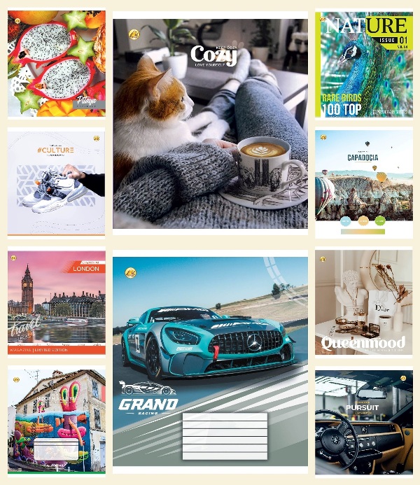 

Набор тетрадей ученических 10 шт Тетрада Микс №1 А5 в линию 48 листов (10 дизайнов) (52513)