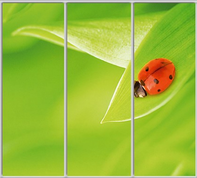 

Шкаф купе Luxe Studio Стандарт-1 Фотопечать Природа-90 2300x2200x600 трехдверный