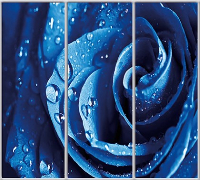 

Шкаф купе Luxe Studio Стандарт-1 Фотопечать Природа-151 2300x2200x600 трехдверный