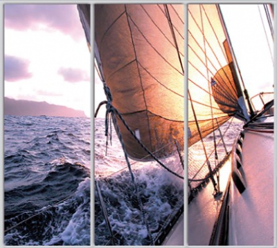 

Шкаф купе Luxe Studio Стандарт-1 Фотопечать Природа-107 2300x2400x600 трехдверный