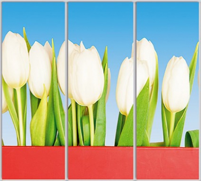 

Шкаф купе Luxe Studio Стандарт-1 Фотопечать Природа-146 2300x2100x600 трехдверный