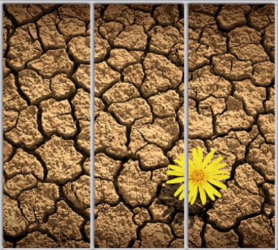 

Шкаф купе Luxe Studio Стандарт-1 Фотопечать Природа-12 2300x2200x600 трехдверный