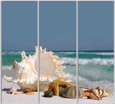 

Шкаф купе Luxe Studio Стандарт-1 Фотопечать Море-48 2300x2000x600 трехдверный