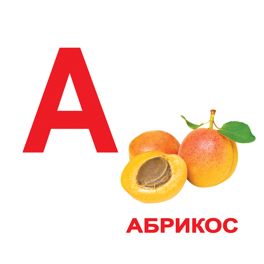 

Карточки Домана "Алфавит" большие, ламинированные, с фактами, русский язык