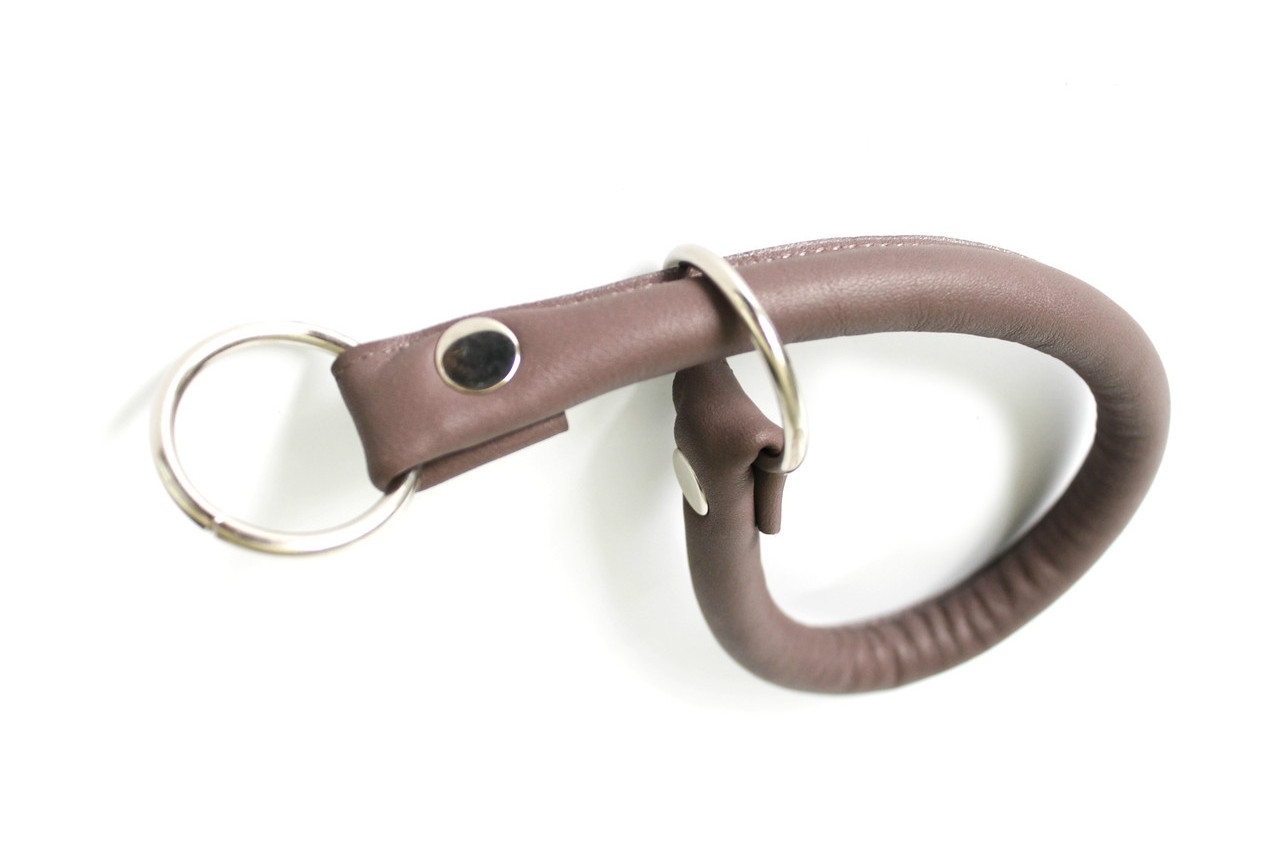 

Ринговка для собаки Lockdog 37х1,5 см (zoo0000152) Капучино