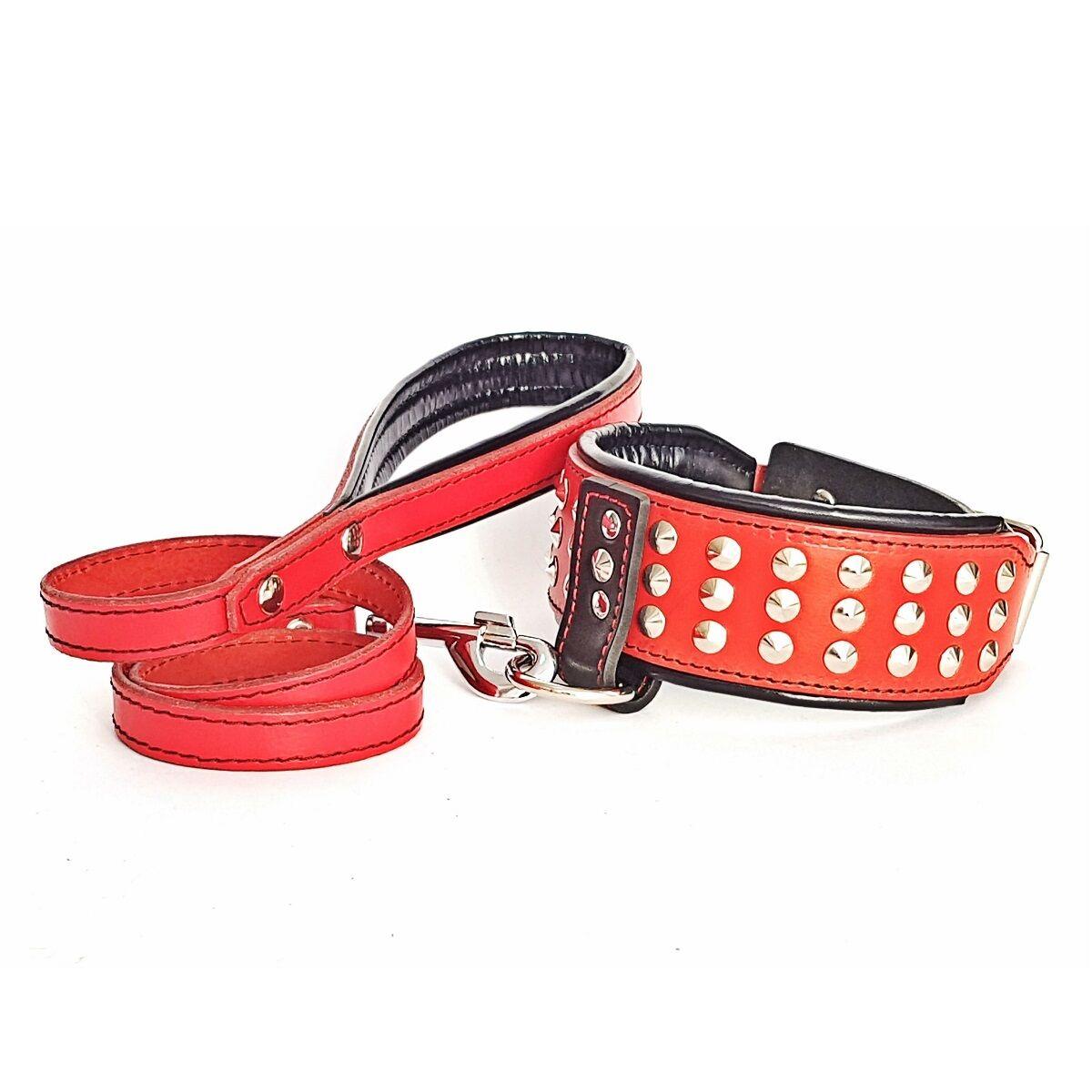 

Ошейник с поводком Lockdog S (16-29 см) (zoo0000209) Красный