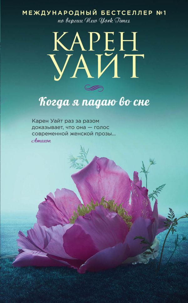 

Когда я падаю во сне (9789669933546)