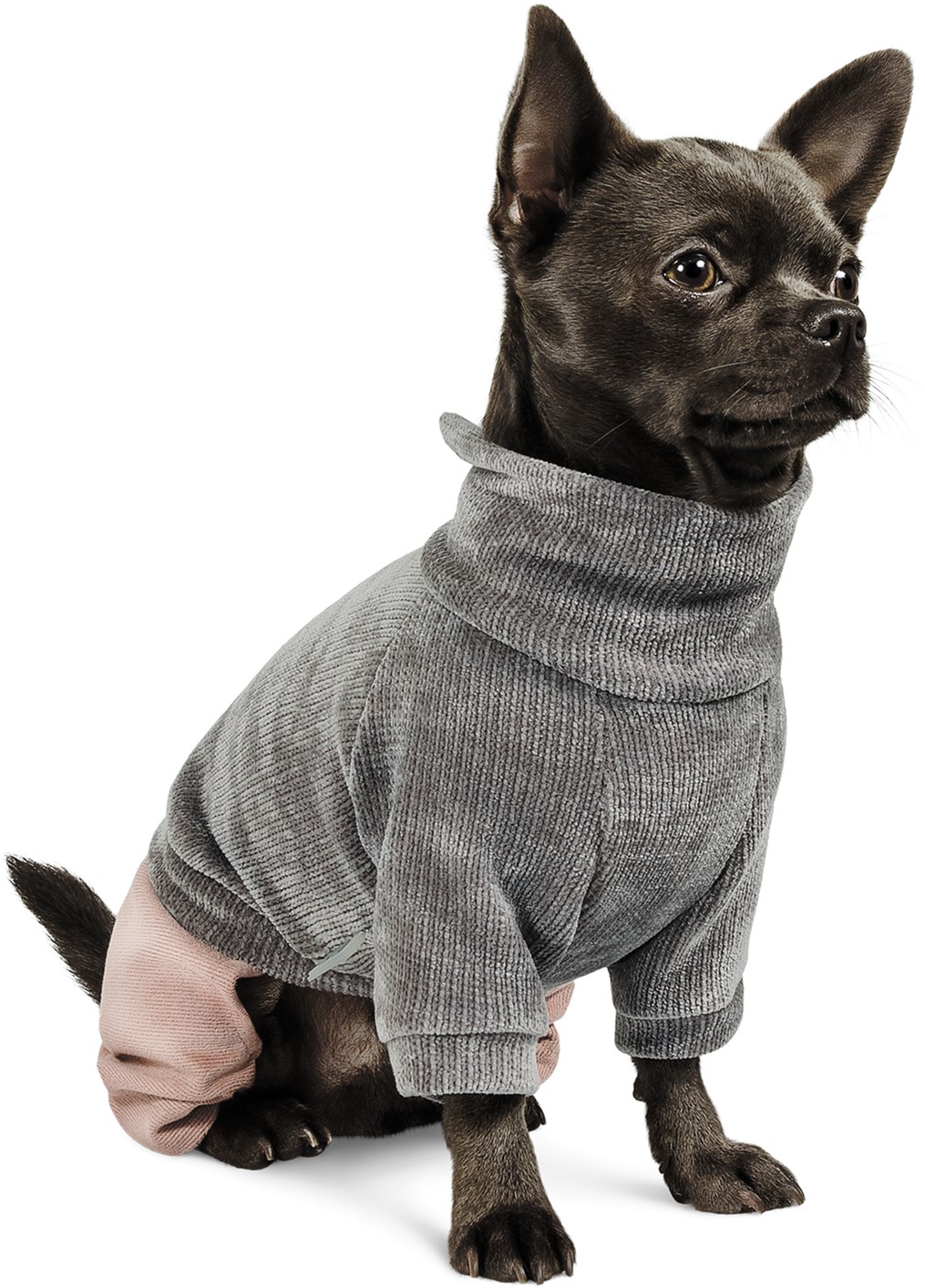 

Костюм Pet Fashion Пунш X S-2 (4823082415526)