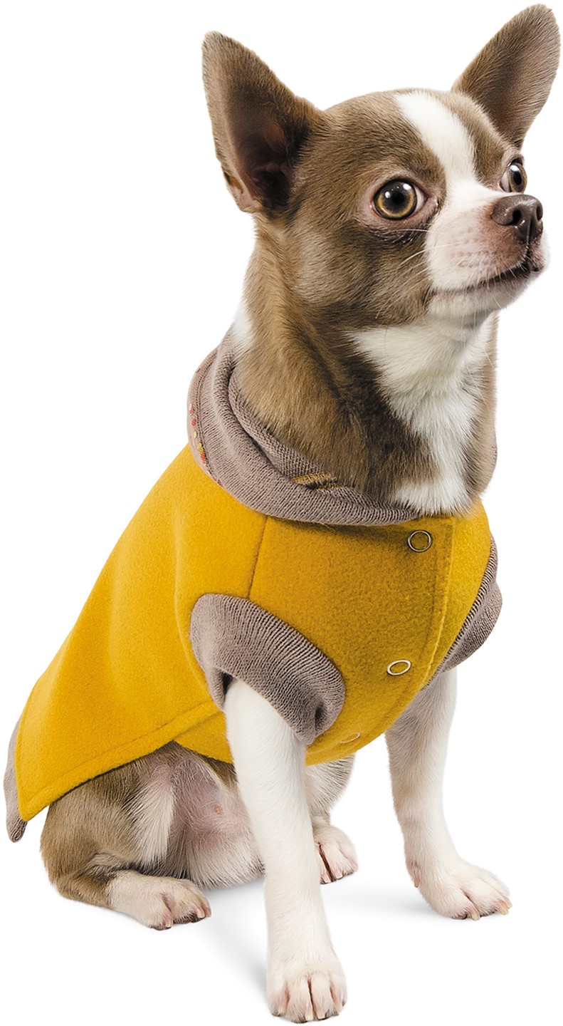 

Толстовка Pet Fashion Капсула М2 (4823082416233)