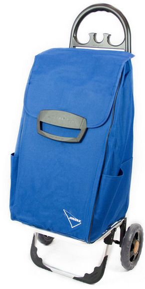 

Сумка Aurora Canadese 78 Blue (F00202922)
