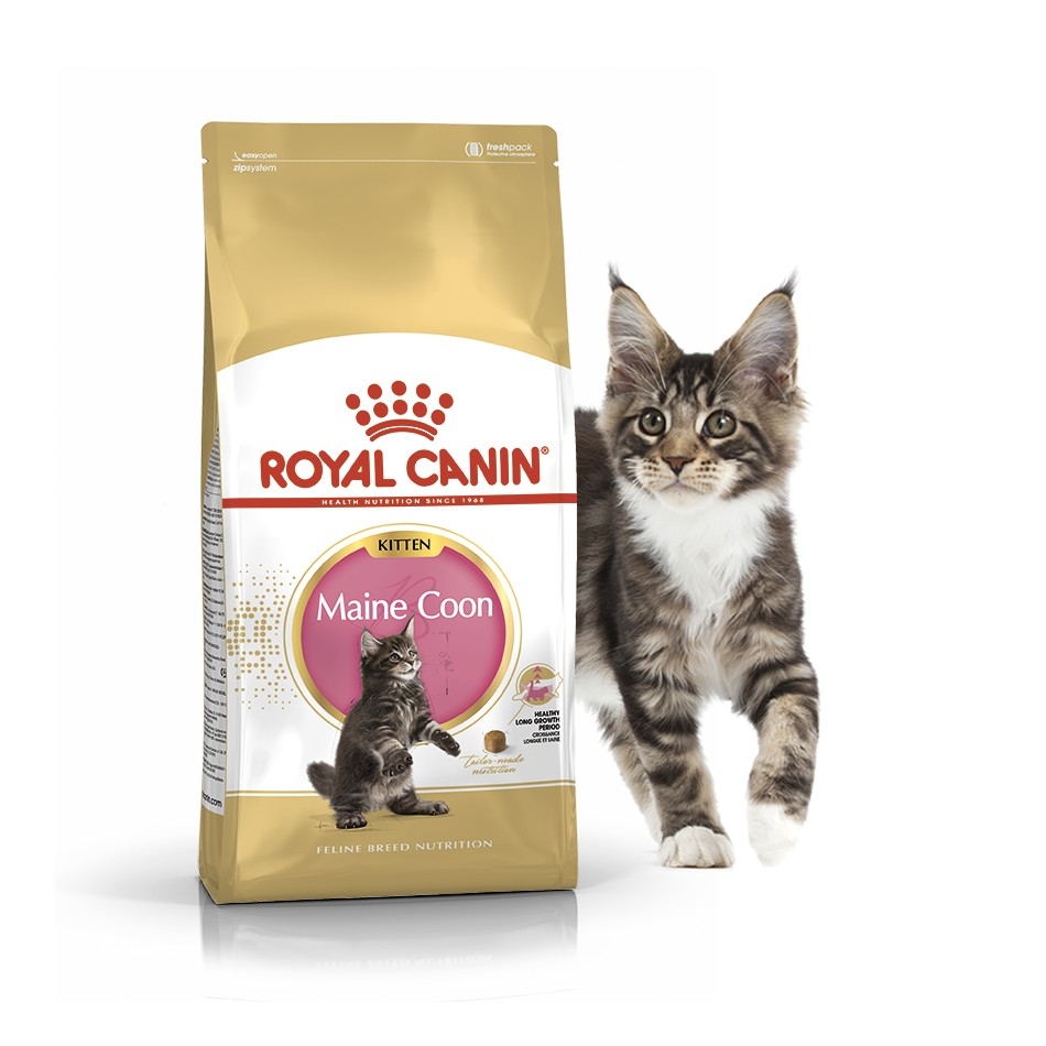 

Сухой корм Royal Canin Maine Coon Kitten для котят породы мейн-кун до 15 месяцев 2 кг