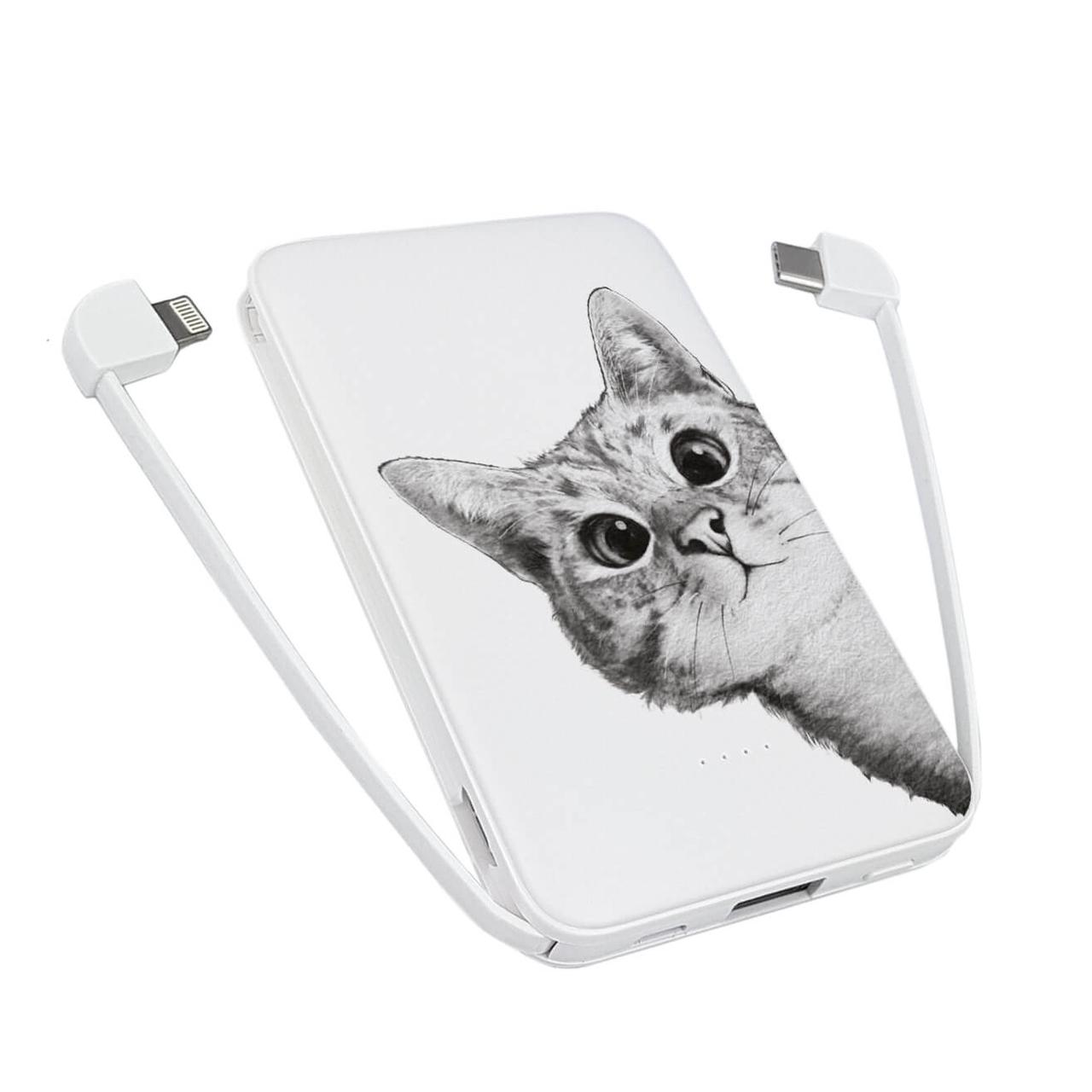

Power Bank ZIZ 5000 mAh Эй, Кот — Повербанк, УМБ, Портативная батарея (1765)