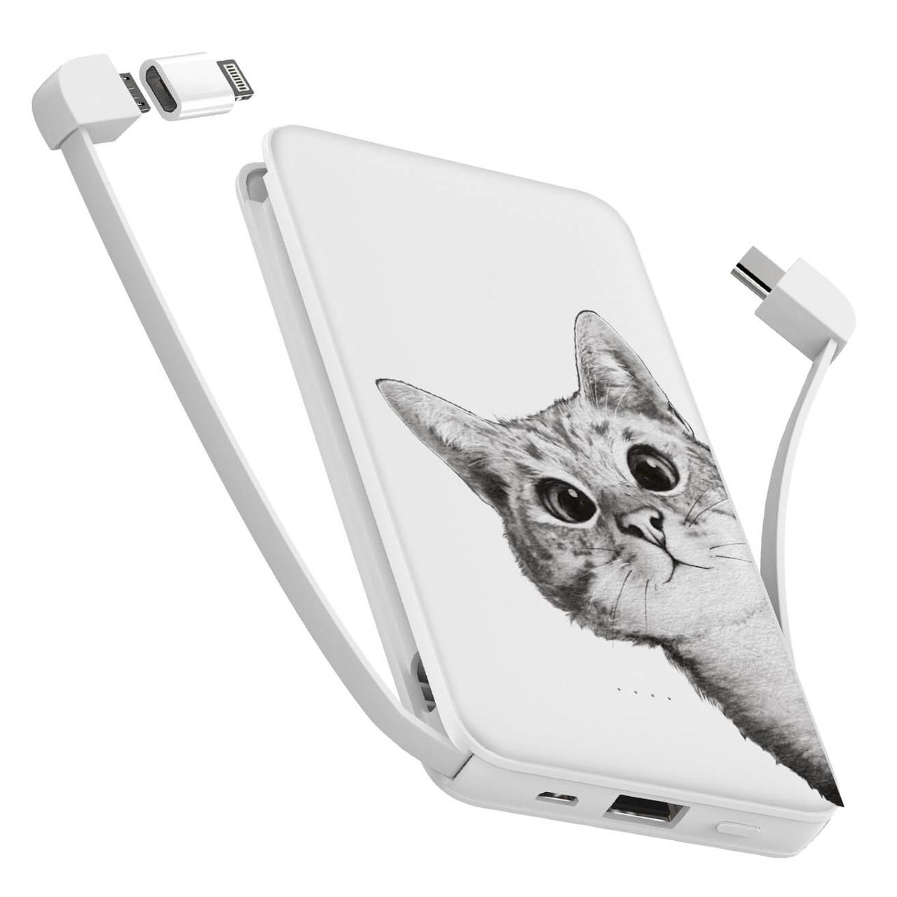 

Power Bank ZIZ 10000 mAh Эй, кот — Повербанк, УМБ, Портативная батарея (1937)