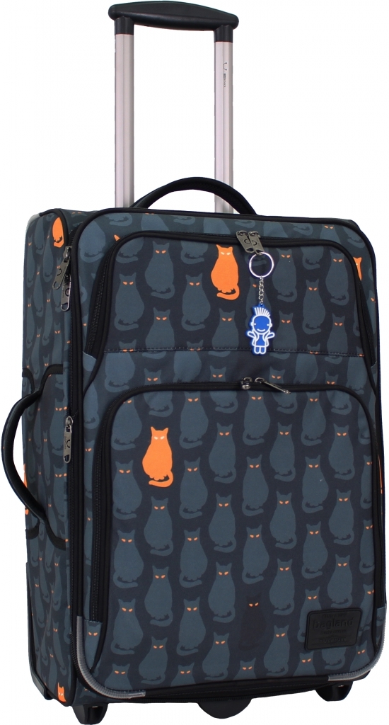 

Чемодан женский Леон Bagland 60x38x22 см (acs0000249) Разноцветный