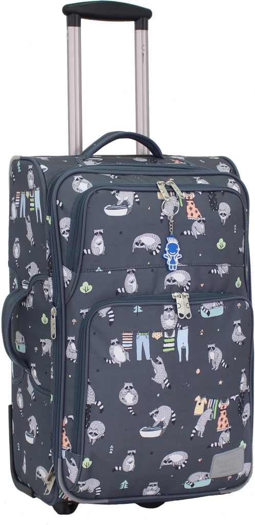 

Чемодан женский Леон Bagland 60x38x22 см (acs0000244) Разноцветный