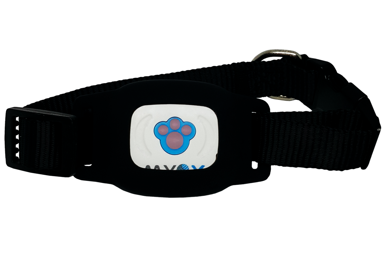 

GPS ошейник для кошек MYOX MPT-03CB (черный)