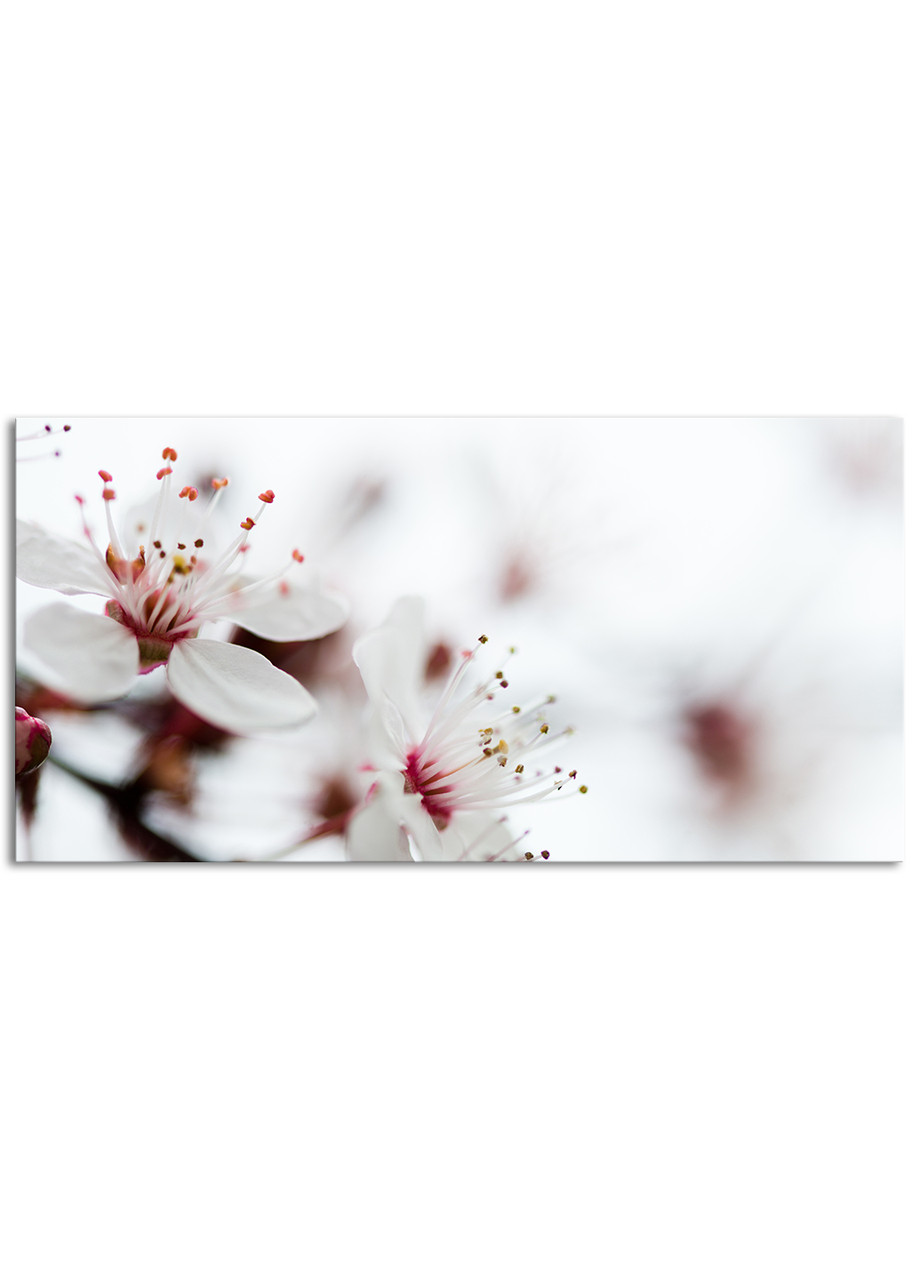 

Фотокартина на холсте Первоцвет, 60*120 см